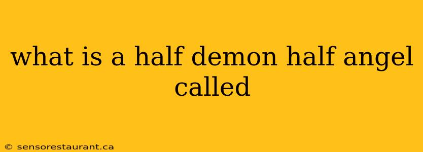 what is a half demon half angel called