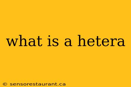 what is a hetera