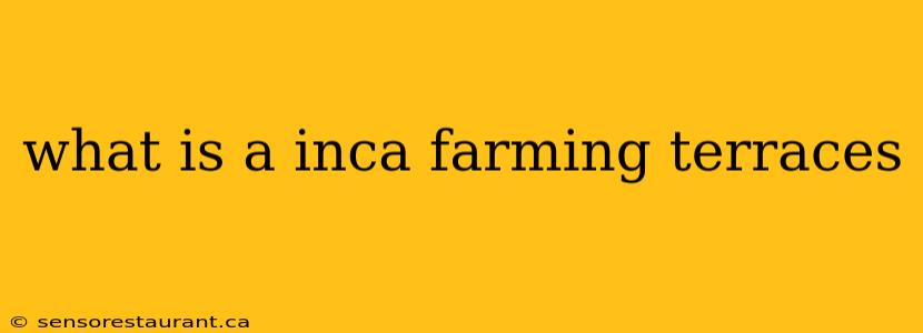 what is a inca farming terraces