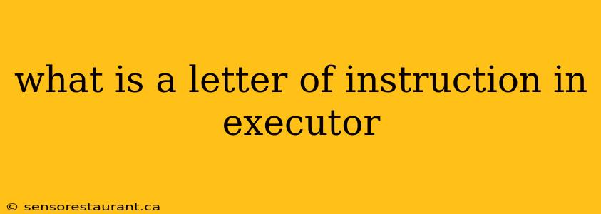 what is a letter of instruction in executor