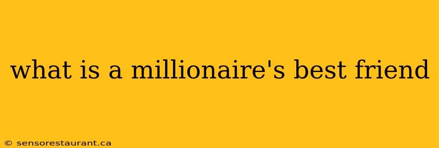 what is a millionaire's best friend