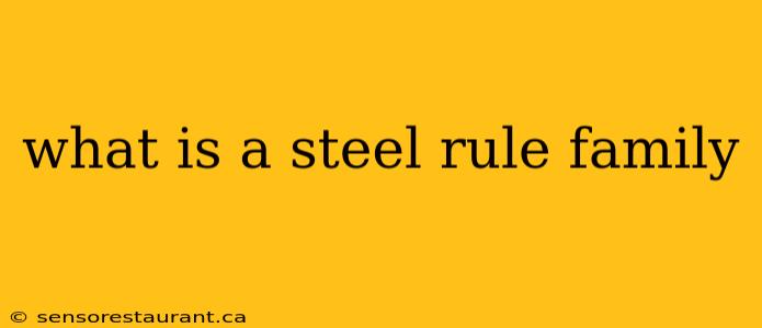 what is a steel rule family