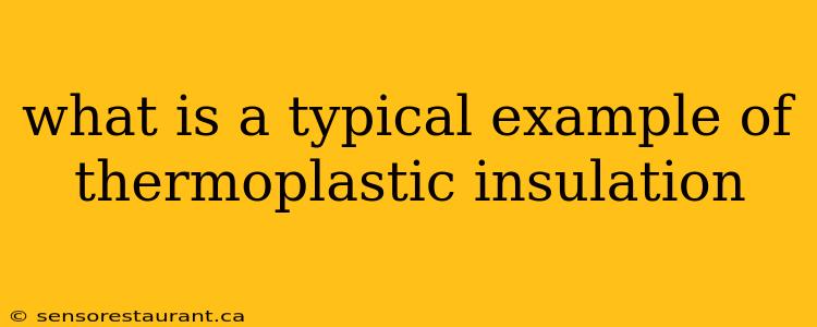 what is a typical example of thermoplastic insulation