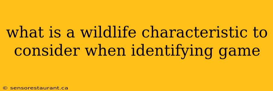 what is a wildlife characteristic to consider when identifying game