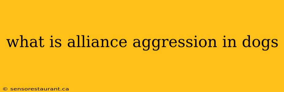 what is alliance aggression in dogs