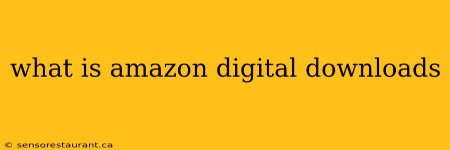 what is amazon digital downloads