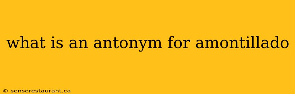 what is an antonym for amontillado