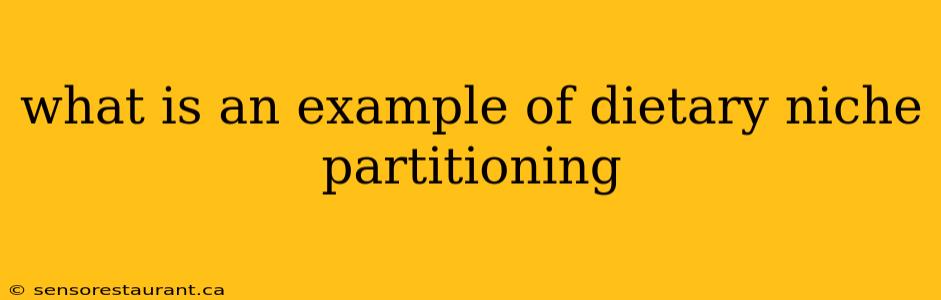 what is an example of dietary niche partitioning