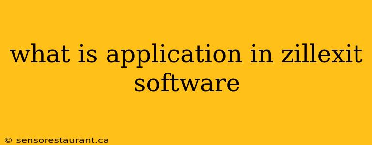 what is application in zillexit software