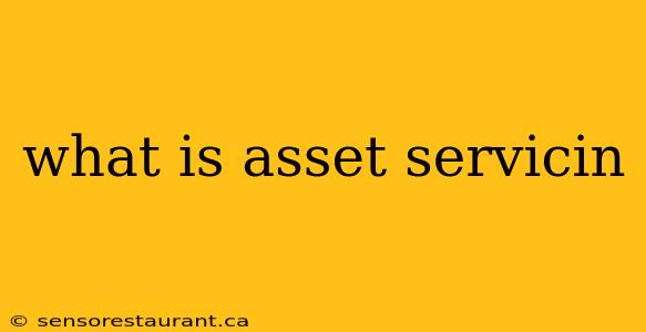 what is asset servicin