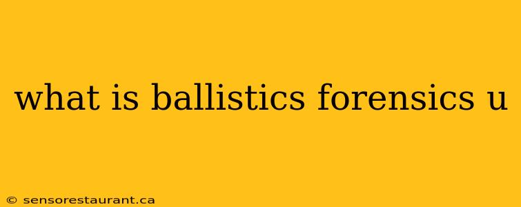 what is ballistics forensics u