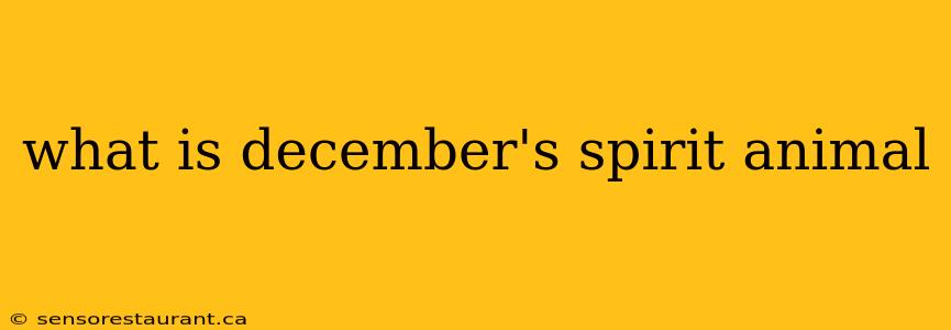 what is december's spirit animal