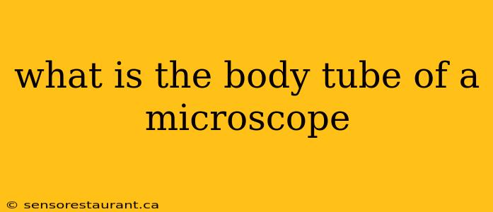 what is the body tube of a microscope