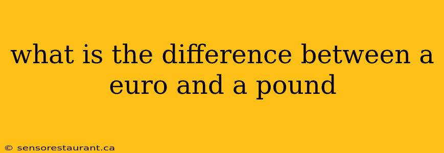 what is the difference between a euro and a pound