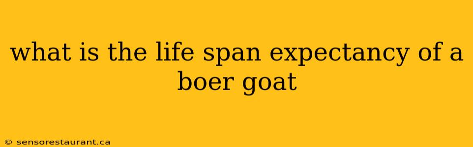 what is the life span expectancy of a boer goat