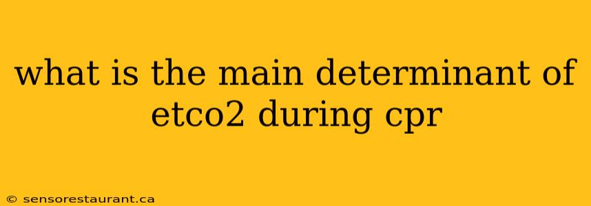 what is the main determinant of etco2 during cpr