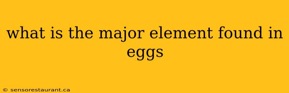 what is the major element found in eggs