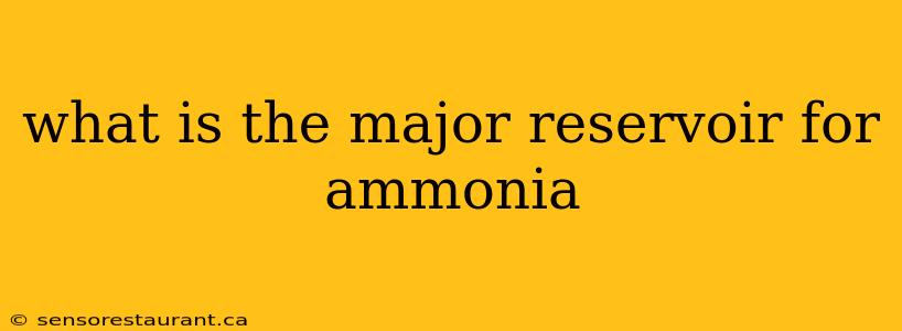 what is the major reservoir for ammonia