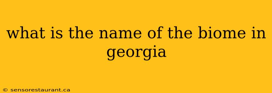 what is the name of the biome in georgia