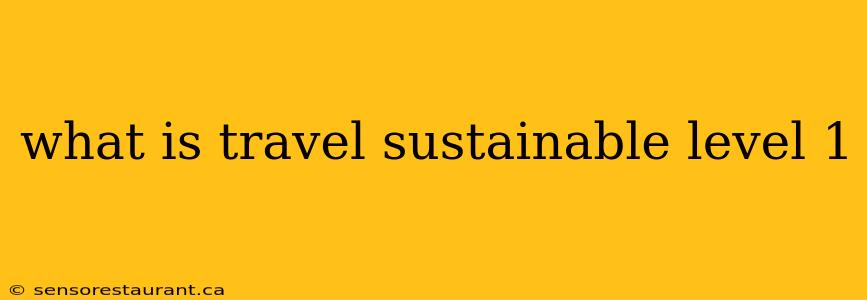 what is travel sustainable level 1