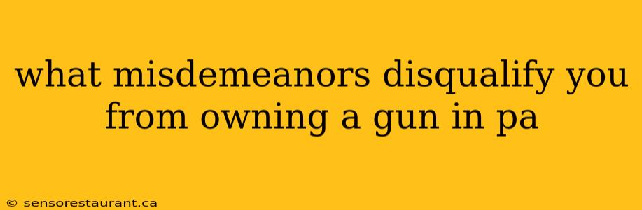 what misdemeanors disqualify you from owning a gun in pa