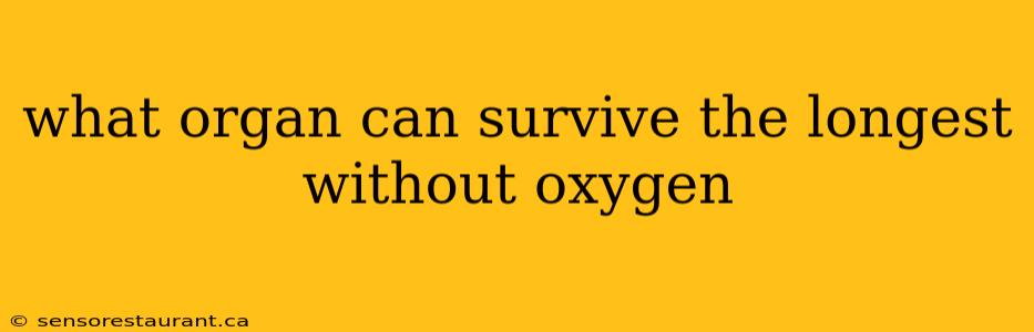 what organ can survive the longest without oxygen