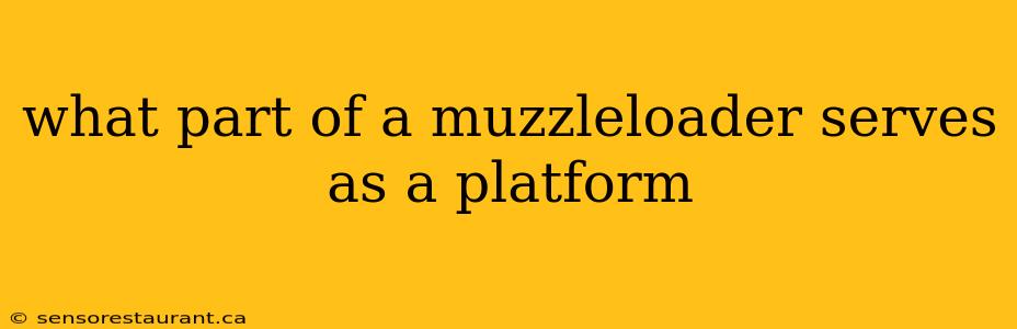 what part of a muzzleloader serves as a platform