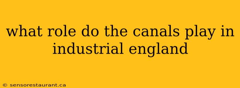 what role do the canals play in industrial england