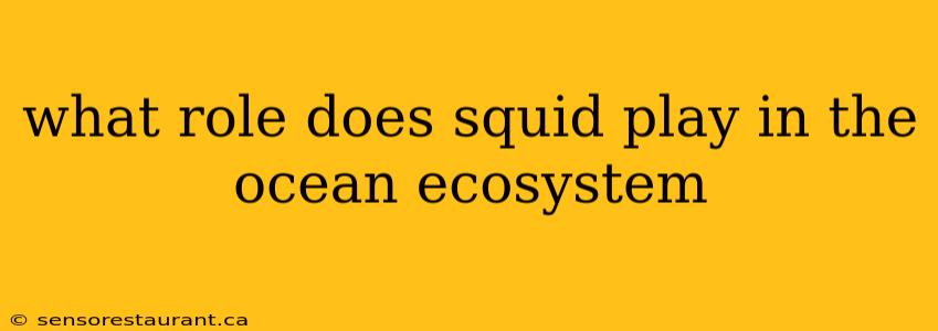 what role does squid play in the ocean ecosystem