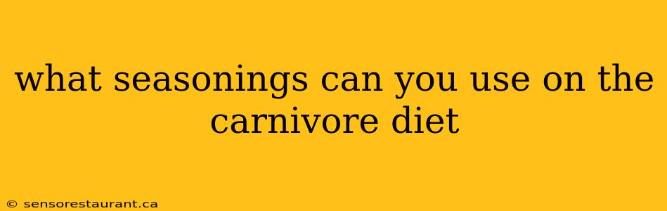 what seasonings can you use on the carnivore diet