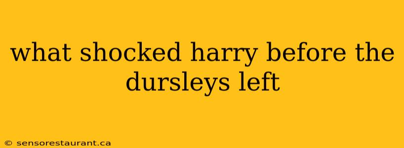 what shocked harry before the dursleys left