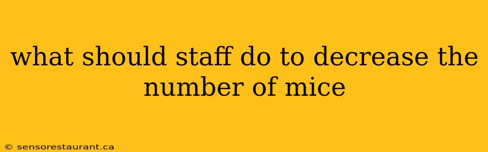 what should staff do to decrease the number of mice