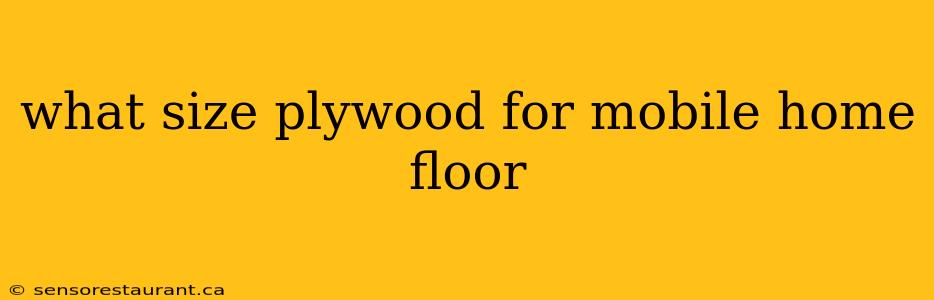 what size plywood for mobile home floor