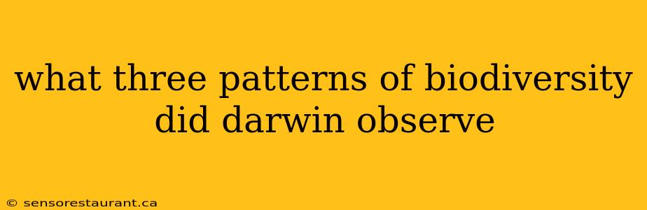 what three patterns of biodiversity did darwin observe