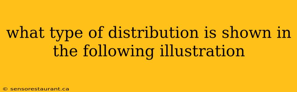 what type of distribution is shown in the following illustration