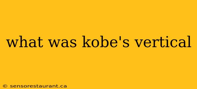 what was kobe's vertical