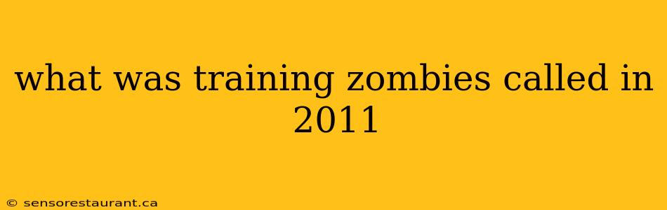 what was training zombies called in 2011