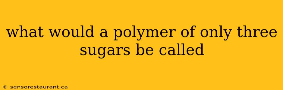 what would a polymer of only three sugars be called