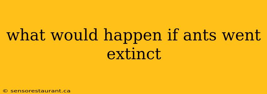 what would happen if ants went extinct