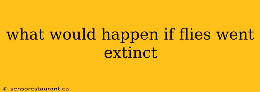 what would happen if flies went extinct