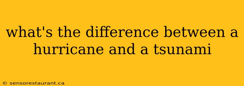 what's the difference between a hurricane and a tsunami