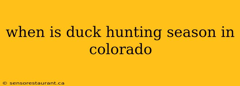 when is duck hunting season in colorado