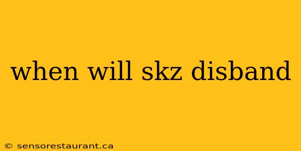 when will skz disband