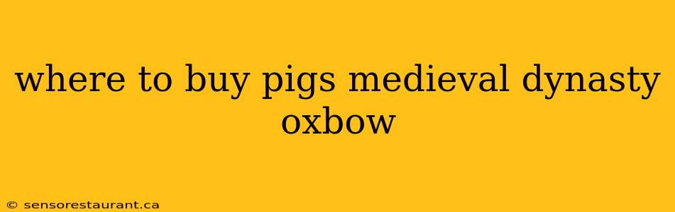 where to buy pigs medieval dynasty oxbow