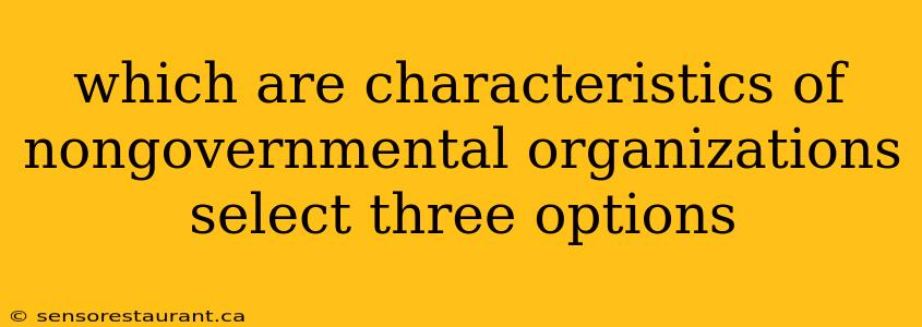 which are characteristics of nongovernmental organizations select three options