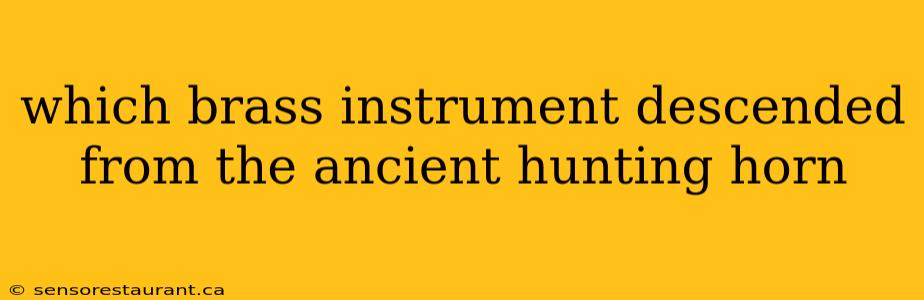 which brass instrument descended from the ancient hunting horn