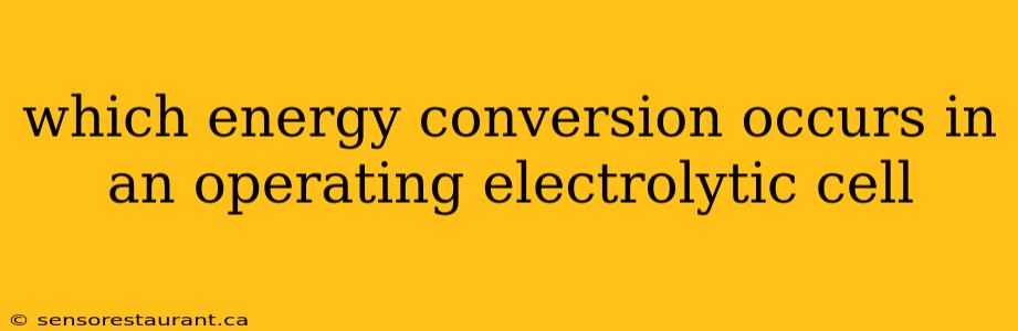 which energy conversion occurs in an operating electrolytic cell