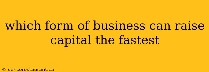 which form of business can raise capital the fastest