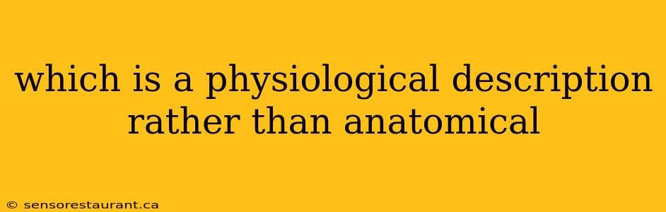 which is a physiological description rather than anatomical