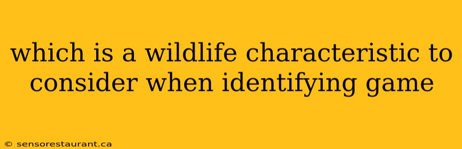 which is a wildlife characteristic to consider when identifying game